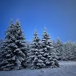 Vikendica Eden Дом отдыха Власич