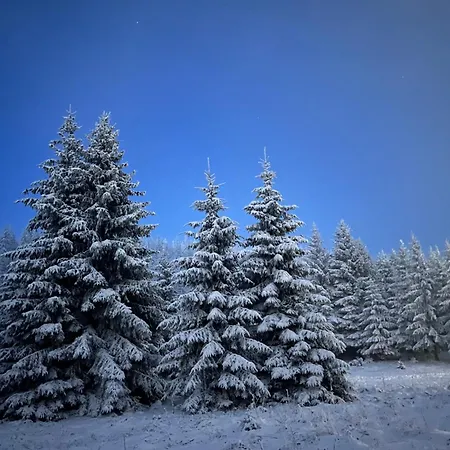 Vikendica Eden Nyaraló Vlasic