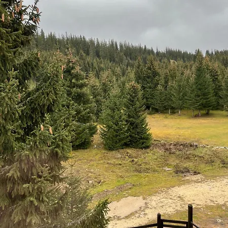 Vakantiehuis Vikendica Eden